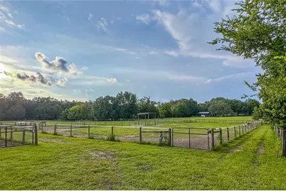 16242 NW 130th Street, Williston, FL 32696 - Photo 7