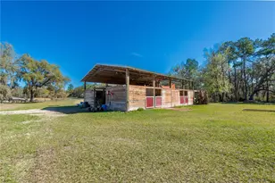 16242 NW 130th St, Williston, FL 32696 - Photo 19
