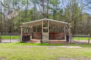 16242 NW 130th St, Williston, FL 32696 - Photo 33