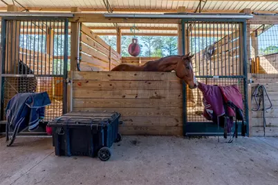 16242 NW 130th Street, Williston, FL 32696 - Photo 19