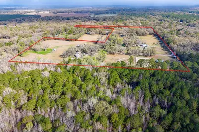 16242 NW 130th Street, Williston, FL 32696 - Photo 5