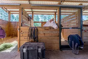 16242 NW 130th St, Williston, FL 32696 - Photo 21
