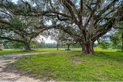 16242 NW 130th Street, Williston, FL 32696 - Photo 9