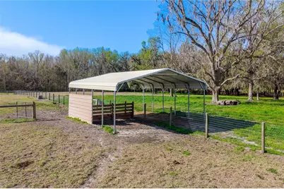 16242 NW 130th Street, Williston, FL 32696 - Photo 31