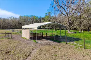 16242 NW 130th St, Williston, FL 32696 - Photo 31