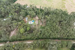 19396 NW 132nd Pl, Alachua, FL 32615 - Photo 27