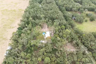 19396 NW 132nd Pl, Alachua, FL 32615 - Photo 29