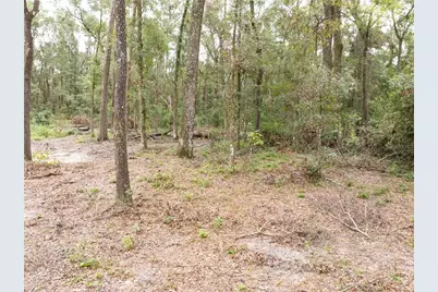 19396 NW 132nd Place, Alachua, FL 32615 - Photo 35