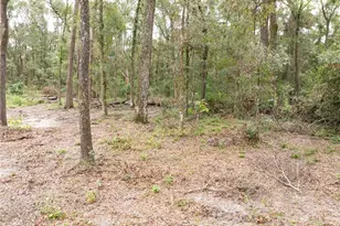 19396 NW 132nd Pl, Alachua, FL 32615 - Photo 35