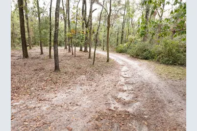 19396 NW 132nd Place, Alachua, FL 32615 - Photo 33