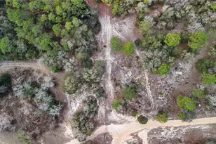 237 Highland Dr, Hawthorne, FL 32640 - Photo 3