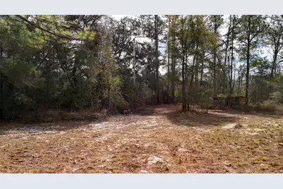 237 Highland Drive, Hawthorne, FL 32640 - Photo 11