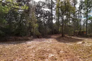 237 Highland Dr, Hawthorne, FL 32640 - Photo 11