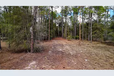 237 Highland Drive, Hawthorne, FL 32640 - Photo 9