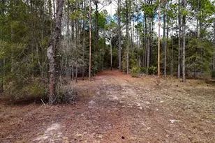 237 Highland Dr, Hawthorne, FL 32640 - Photo 9