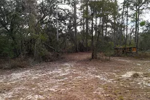 237 Highland Dr, Hawthorne, FL 32640 - Photo 7