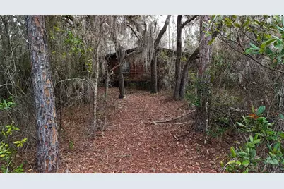 237 Highland Drive, Hawthorne, FL 32640 - Photo 13