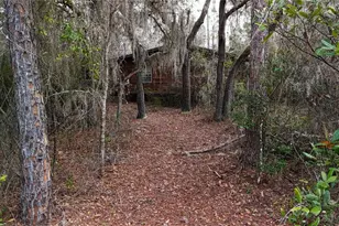 237 Highland Dr, Hawthorne, FL 32640 - Photo 13