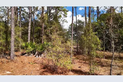 237 Highland Drive, Hawthorne, FL 32640 - Photo 11