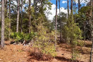 237 Highland Dr, Hawthorne, FL 32640 - Photo 11