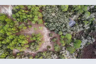 237 Highland Drive, Hawthorne, FL 32640 - Photo 5