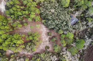 237 Highland Dr, Hawthorne, FL 32640 - Photo 5