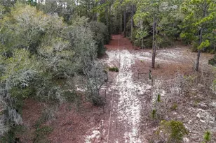 237 Highland Dr, Hawthorne, FL 32640 - Photo 31