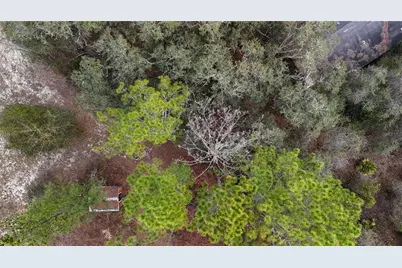 237 Highland Drive, Hawthorne, FL 32640 - Photo 37