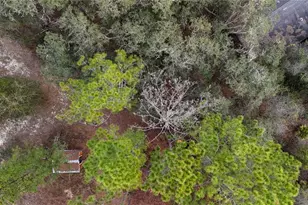 237 Highland Dr, Hawthorne, FL 32640 - Photo 37