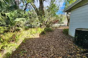 1030 NE 9th St, Gainesville, FL 32609 - Photo 3