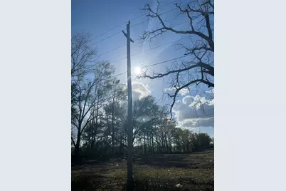 Tbd 185th Rd, Live Oak, FL 32060 - Photo 9