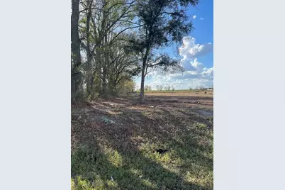 Tbd 185th Rd, Live Oak, FL 32060 - Photo 13