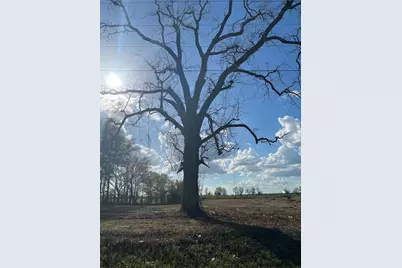 Tbd 185th Rd, Live Oak, FL 32060 - Photo 13