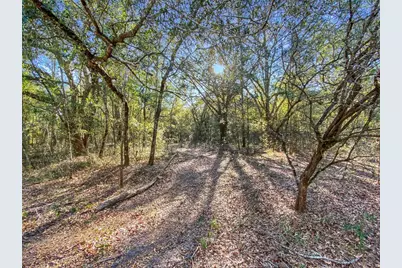 Sw Buffalo Ct, Fort White, FL 32038 - Photo 3