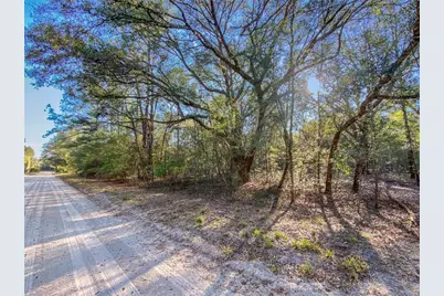 Sw Buffalo Ct, Fort White, FL 32038 - Photo 5