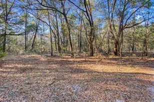 SW Buffalo Ct, Fort White, FL 32038 - Photo 1