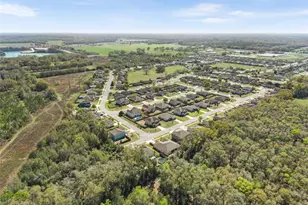 1049 NW 233rd Dr, Newberry, FL 32669 - Photo 51