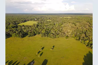 11816 SE County Road 234, Micanopy, FL 32667 - Photo 87