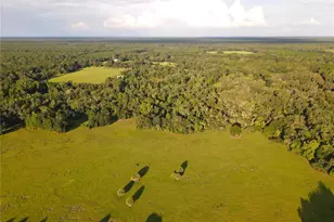 11816 SE County Road 234, Micanopy, FL 32667 - Photo 87