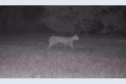 11816 SE County Road 234, Micanopy, FL 32667 - Photo 37