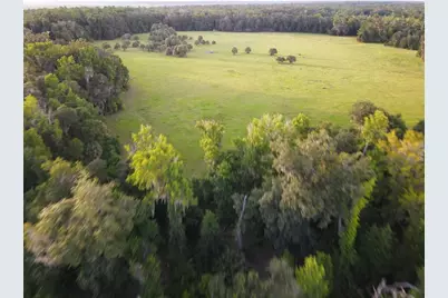 11816 SE County Road 234, Micanopy, FL 32667 - Photo 93