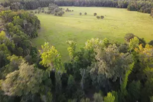 11816 SE County Road 234, Micanopy, FL 32667 - Photo 93