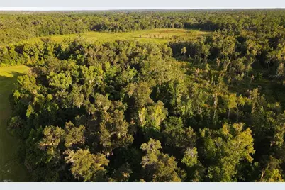 11816 SE County Road 234, Micanopy, FL 32667 - Photo 85