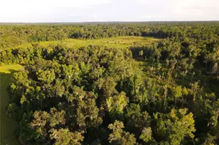 11816 SE County Road 234, Micanopy, FL 32667 - Photo 85