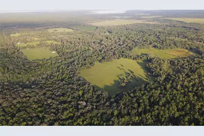 11816 SE County Road 234, Micanopy, FL 32667 - Photo 89