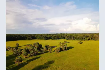 11816 SE County Road 234, Micanopy, FL 32667 - Photo 83