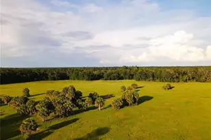 11816 SE County Road 234, Micanopy, FL 32667 - Photo 83