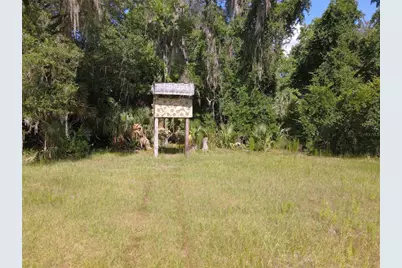 11816 SE County Road 234, Micanopy, FL 32667 - Photo 31