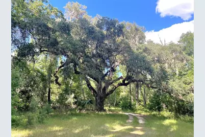 11816 SE County Road 234, Micanopy, FL 32667 - Photo 29