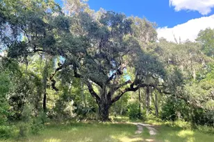 11816 SE County Road 234, Micanopy, FL 32667 - Photo 29